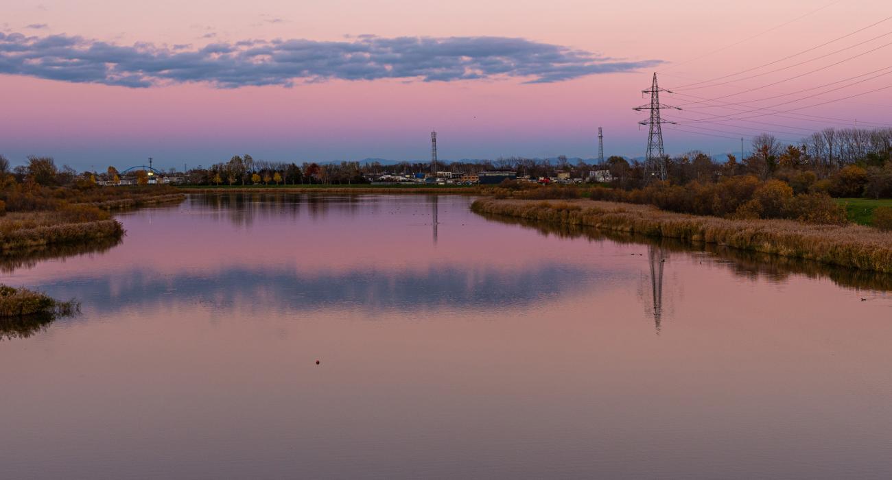 Environmental Practice Image